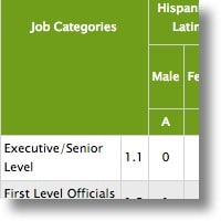 Equal Employment Opportunity Reporting Software
