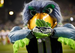 Seahawk Mascot Speaks With Passion-Interview